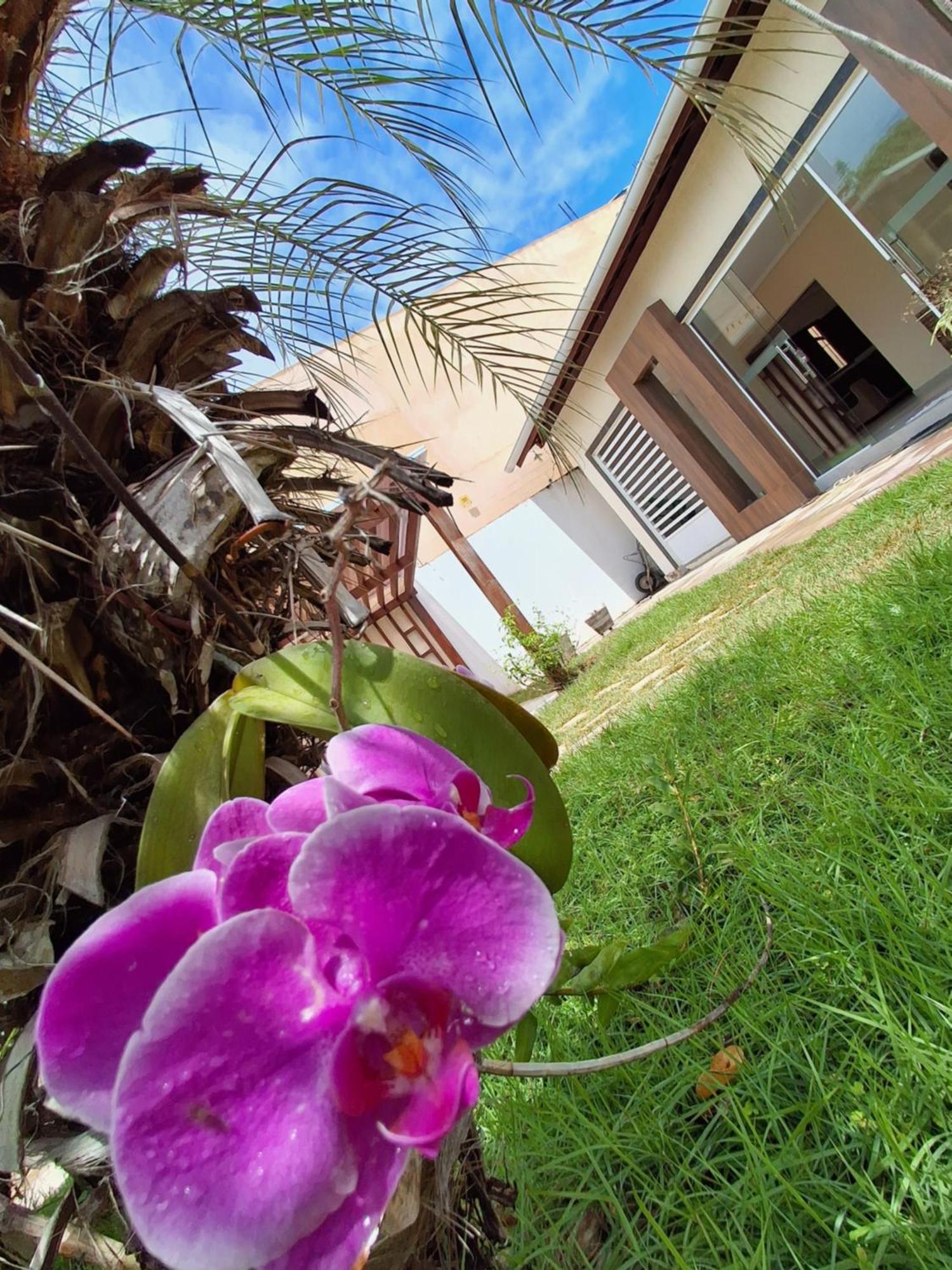 Casa Com Piscina Na Praia De Peroba Maragogi Exteriör bild