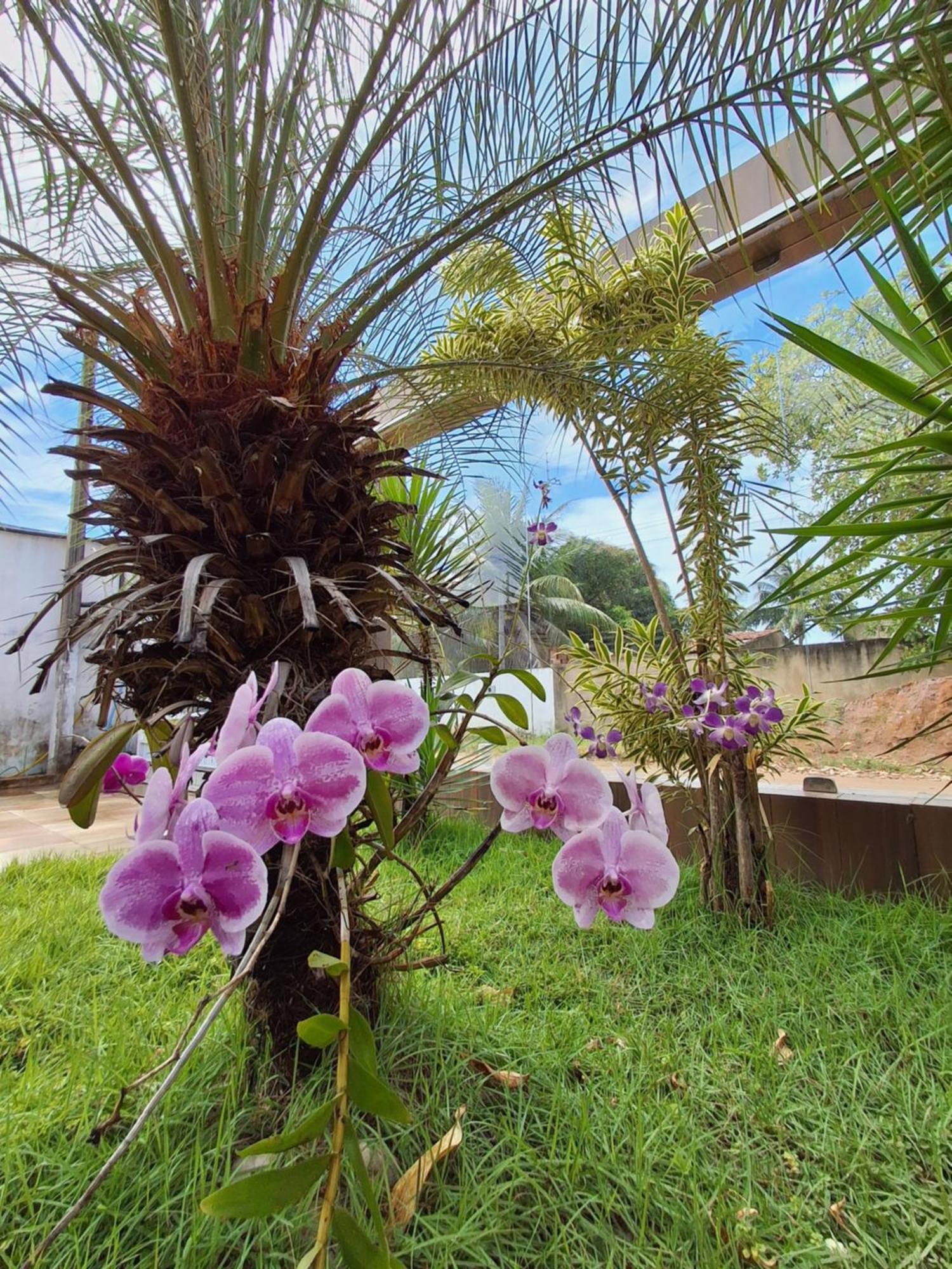 Casa Com Piscina Na Praia De Peroba Maragogi Exteriör bild